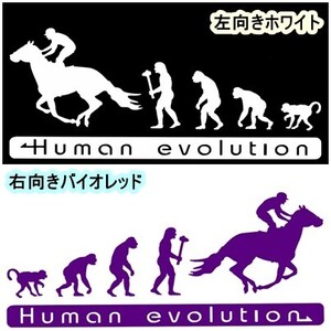 《JK01》20.0×8.4cm【人類の進化‐競馬・乗馬編】G1、有馬記念、JRA、ケイバ、日本ダービー、馬術部、馬具ステッカー(1)