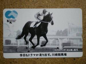 I1759・マグネテッック　競馬 テレカ