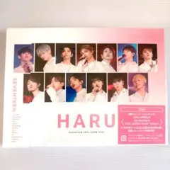 SEVENTEEN HARU DVD セブチ イルコン 美品