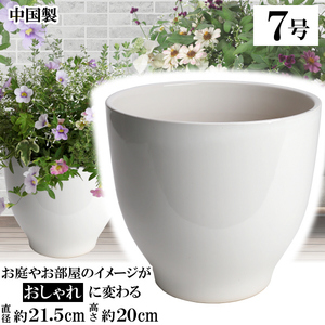 植木鉢 おしゃれ 安い 陶器 サイズ 21cm MGI-21 7号 ホワイト 室内 屋外 白 色