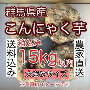 【群馬県産】こんにゃく芋　箱込み15kg以内　手作りこんにゃく用【大きめサイズ】