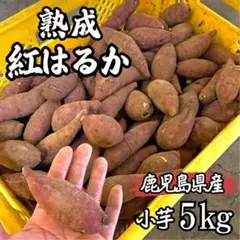 【熟成】小芋 紅はるか 5kg さつまいも 人気の食べやすいサイズ658