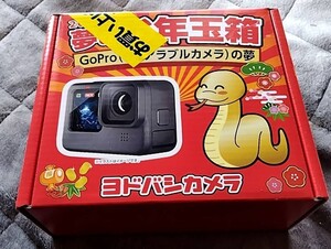 ☆GoPro（ウェアラブルカメラ）の夢 2025ヨドバシお年玉箱　ゴープロ☆