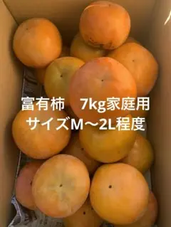 富有柿　7キロ 家庭用