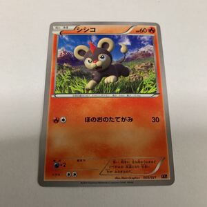 中古　ポケモンカード　シシコ　005/021 XYA