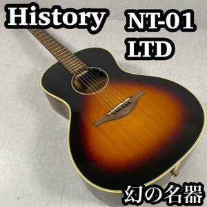 HISTORY NT-01 LTD エレアコ　ヒストリー フジゲン製