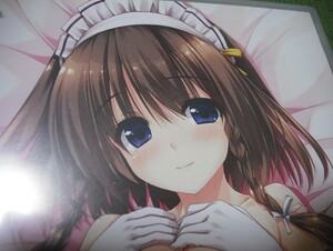 【はるるみなもに 松房英麻★録り下ろし ドラマCD】花澤さくら しんたろー イラスト PCゲーム クロシェット Clochette はるる みなもに