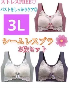 シームレスブラ　大きいサイズ ノンワイヤー ナイトブラ  3L4L5L6L 3枚