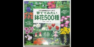 【別冊NHK趣味の園芸】育ててみたい鉢花500種