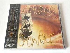 未開封 見本 ルーシーズ・ファー・コート LUCY’S FUR COAT 偏見 JAUNDICE プロモ盤