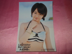 AKB48峯岸みなみ、写真、ラブラドールレトリバー　水着