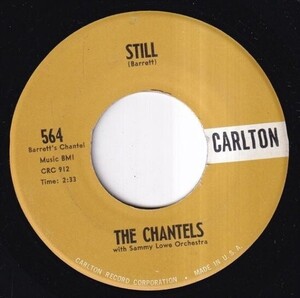 The Chantels with Sammy Lowe Orchestra - Still / Well I Told You (A) SF-J020