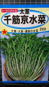 ３袋セット 太茎 千筋 京水菜 みずな 水菜 種 郵便は送料無料