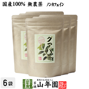 健康茶 国産100% グァバ茶 3g×16パック×6袋セット ティーパック ノンカフェイン 鹿児島県産 無農薬 送料無料