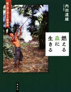 燃える森に生きる インドネシア・スマトラ島 紙と油に消える熱帯林/内田道雄