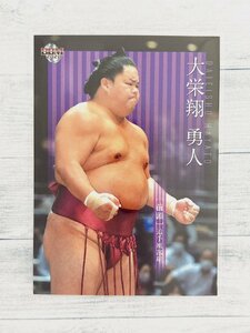 ☆ BBM2021 大相撲カード レギュラーカード 13 大栄翔勇人 ☆