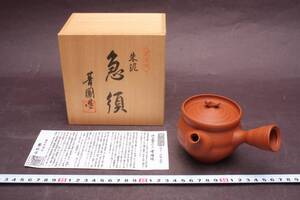 4228 貴重 古玩 常滑焼 肥田菁圃 筋引き 朱泥 急須 茶注 煎茶道具 共箱 