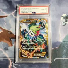 ポケモンカード　シェイミEX　PSA10