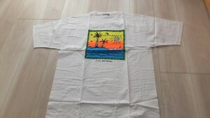 Ｗ－ＫＥＲＮＹ　ＯＫＩＮＡＷＡ　Ｔシャツ