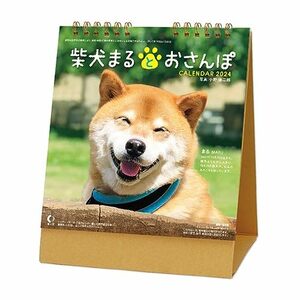 新日本カレンダー 卓上 柴犬まるとおさんぽ 2024年 カレンダー CL24-0393