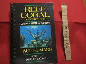 ☆ＲＥＥＦ　　ＣＯＲＡＬ　　Ｉｄｅｎｔｉｆｉｃａｔｉｏｎ　　ＦＬＯＲＩＤＡ　　ＣＡＲＩＢＢＥＡＮ　ＢＡＨＡＭＡＳ【洋書・海洋生物】