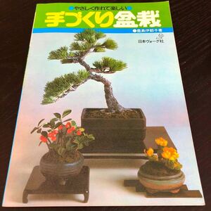 レ62 手づくり盆栽 日本ヴォーグ社 豊島伊都子 昭和55年3月発行 中古本 レトロ 木 植物 育て方 梅の木 芸術 