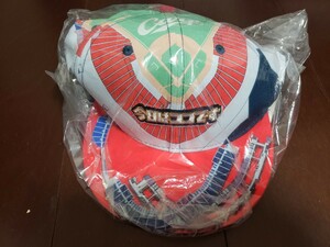 広島カープ　ニューエラ　帽子　今日はココです　マツダスタジアム　NEWERA　限定品