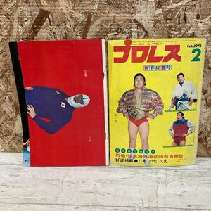 レア ベースボール・マガジン プロレス 1975年2月 第21巻第2号 馬場・猪木海外遠征特派員報告 プロレス史 現状品 クリックポスト送料185円