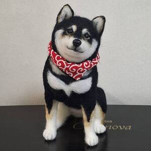 羊毛フェルト 犬 柴犬 黒柴 大きいサイズ