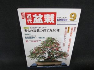 近代盆栽2020年9月号　実もの盆栽の育て方50種/ECV