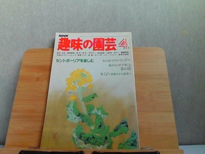 NHK趣味の園芸　昭和56年4月　ヤケシミ有 1981年4月1日 発行