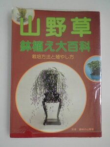 山野草　鉢植え大百科　栽培方法と殖やし方　1985年　月刊さつき研究社