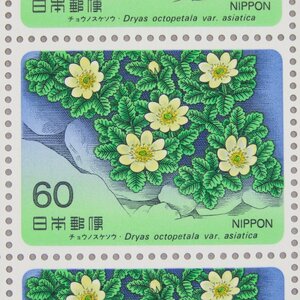 【切手0783】高山植物シリーズ 第4集 チョウノスケソウ 60円20面1シート