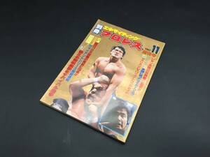 古書「別冊エキサイティングプロレス 1983年11月創刊号」1983年 日本週報別冊読物 スタンハンセン等 134P 昭和レトロ