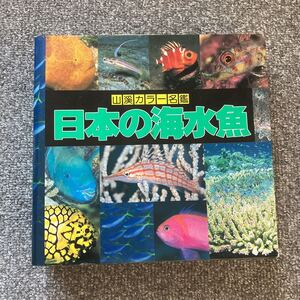 山渓カラー名鑑 日本の海水魚 山と渓谷社 初版 日本の海水魚42目288科2420種の魚類を分類別に徹底紹介した。