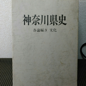 神奈川県歴史　各論編3 文化