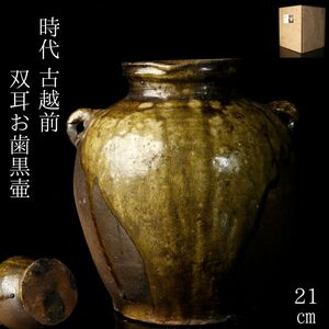 【LIG】時代 古越前 双耳お歯黒壷 21㎝ 箱付 自然釉 古美術品 コレクター収蔵品 [.T]24.10