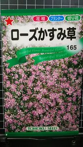 ３袋セット ローズ かすみ草 カスミソウ 種 郵便は送料無料