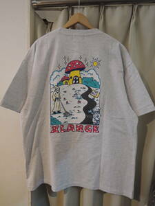 X-LARGE エクストララージ XLARGE WONDER LAND S/S TEE アッシュ XLサイズ 人気品　送料\230~　値下げしました！