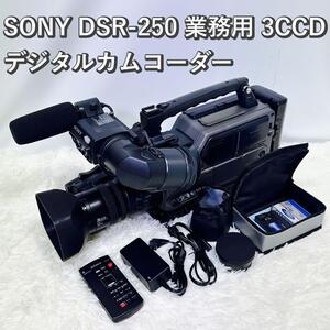 SONY DSR-250 業務用 3CCD デジタルカムコーダー ソニー