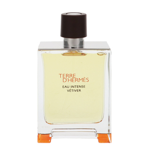 テール ドゥ エルメス オー インテンス ベチバー (テスター) EDP・SP 100ml 香水 フレグランス HERMES 新品 未使用