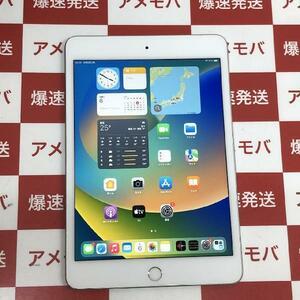 iPad mini 第5世代 64GB AU版SIMフリー バッテリー95% 極美品[265957]