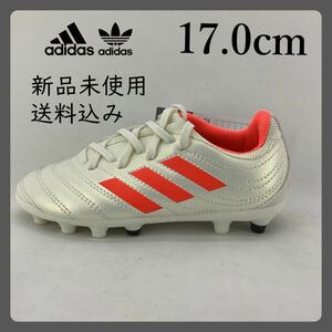 ADIDAS/COPA 19.3 HG/AG J/17.0cm/F97342