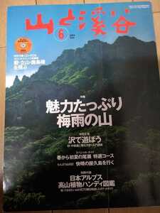 ★ 山と溪谷 2004年 6月 No.827 魅力たっぷり梅雨の山 沢で遊ぼう 梅雨　登山 山登り 山と渓谷 送料無料