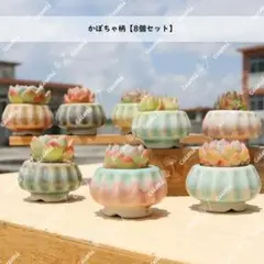 N0311【韓国】 2号 8個セット カボチャ 窯変 貫入 浮彫 窯変 植木鉢