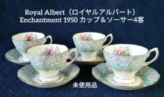 【未使用品】Royal Albert Enchantment 1950 4客