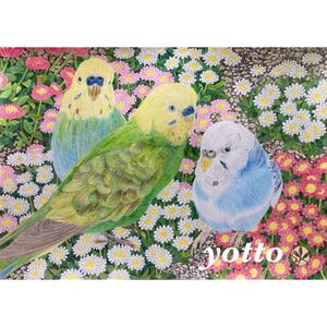 色鉛筆画「 インコ 〜 安堵 〜 」Ｂ５・額付き◇◆手描き◇原画◆インコ◇◆yotto