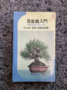 問題あり 豆盆栽入門 主要樹70種の小作りのコツ 片山貞一監修 安藤吾路著 昭和49年8月10日49版 池田書店