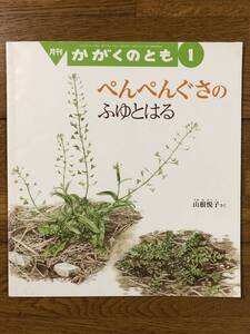 かがくのとも★526号　ぺんぺんぐさの ふゆとはる★山根悦子　さく