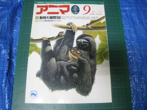 アニマ　1988年9月号　特集：動物大疑問100　平凡社